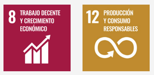 Sustainable Development Goals 8, 12