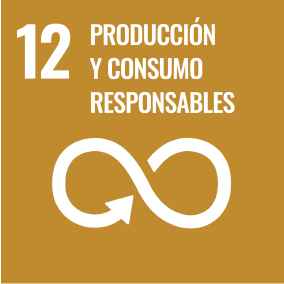 SDG 12 - Responsible Production and Consumption