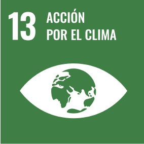 SDG 13 - Climate Action